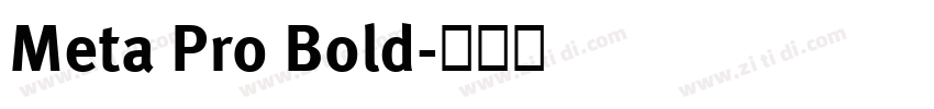 Meta Pro Bold字体转换